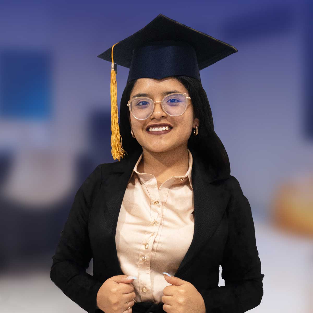 Asesoría de Tesis de Pregrado, Licenciatura y Grado